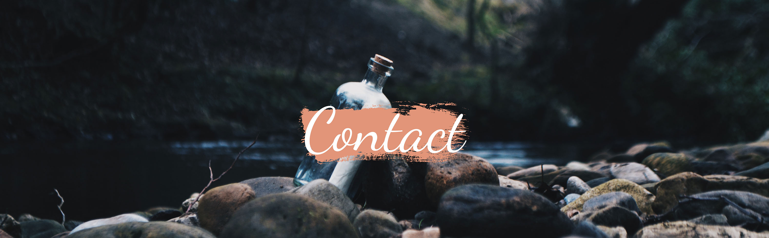 contact page